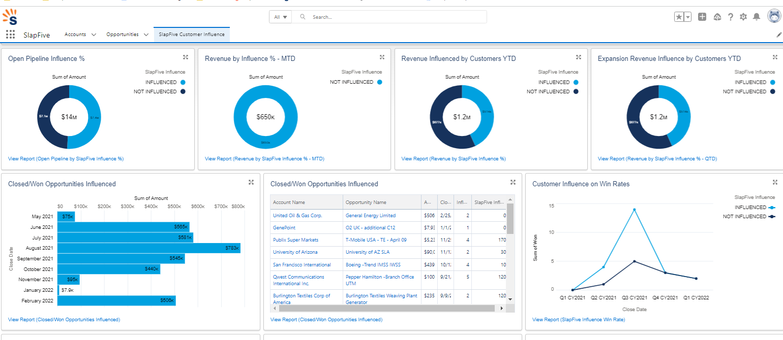 Salesforce Revenue